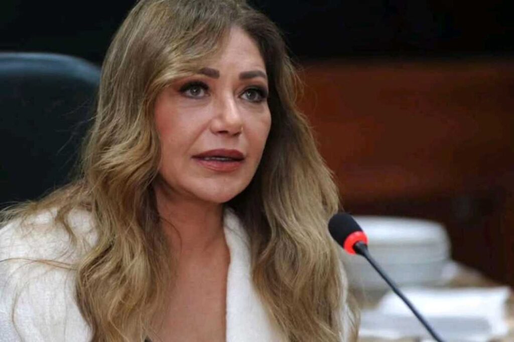 ليلى علوي ويكيبيديا