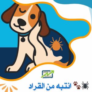 داء لايم ويكيبيديا: من القرادة إلى الإنسان – دليل شامل لفهم المرض وسبل الوقاية