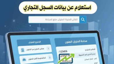 استعلام عن بيانات السجل التجاري: خطوات، أهمية، وأدوات حديثة